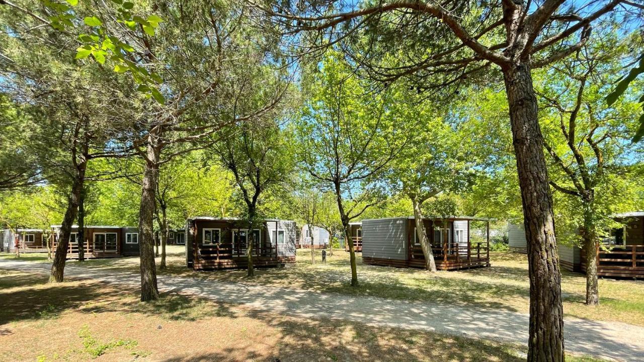 New Campsite In Camping Ca' Savio Cavallino-Treporti Extérieur photo